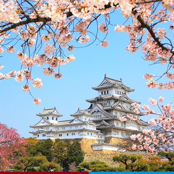 Blog 3 japan